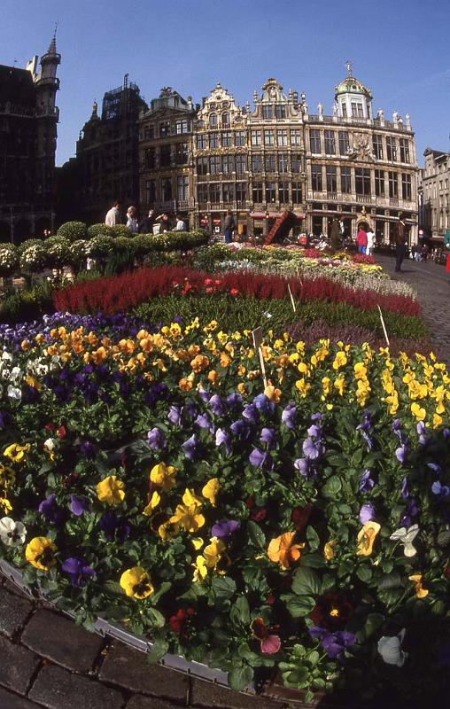 WT 261-21 Belgium Grand Place Brsl.jpg